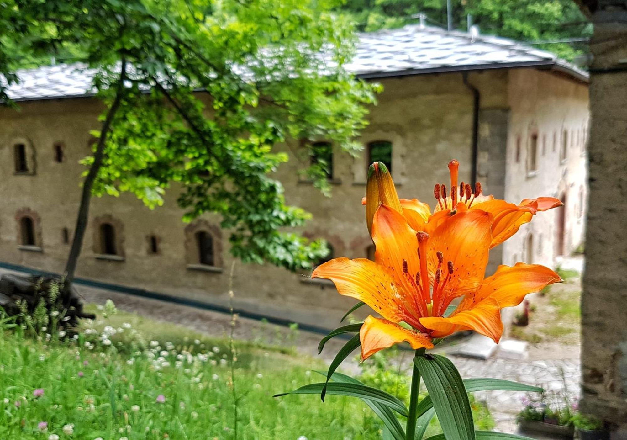 A Pousada Forte Di Machaby Arnad Exterior foto